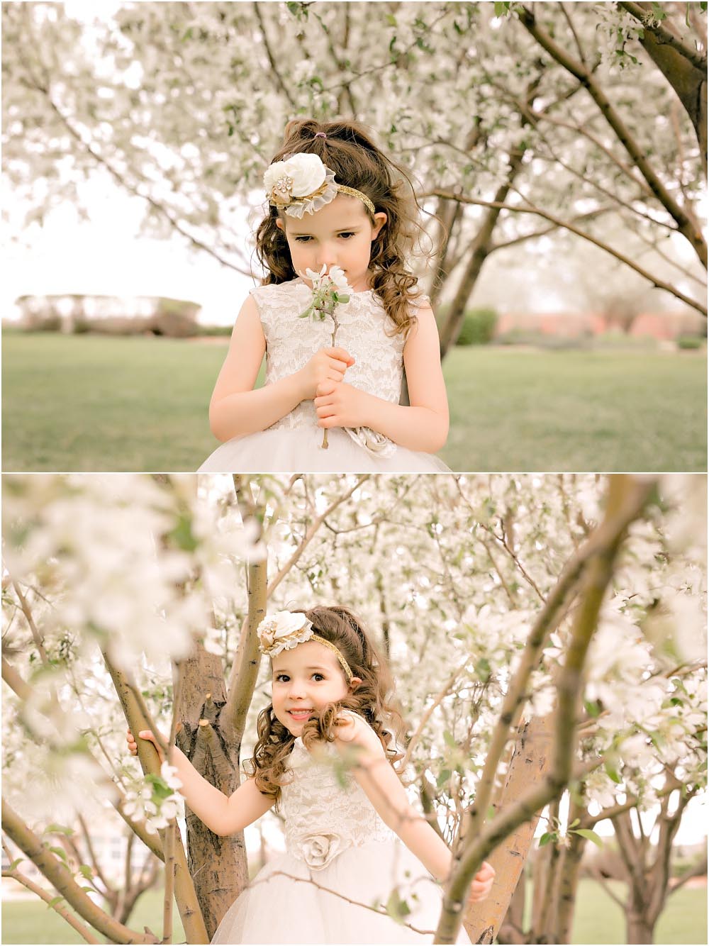 blossom tree family photos by Denver, CO photographer
