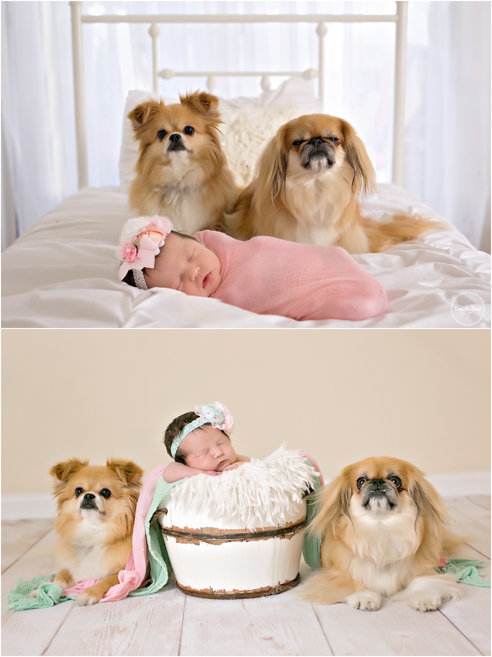 pink-and-mint-newborn-girl-photos-by-denver-co-photographer_0267
