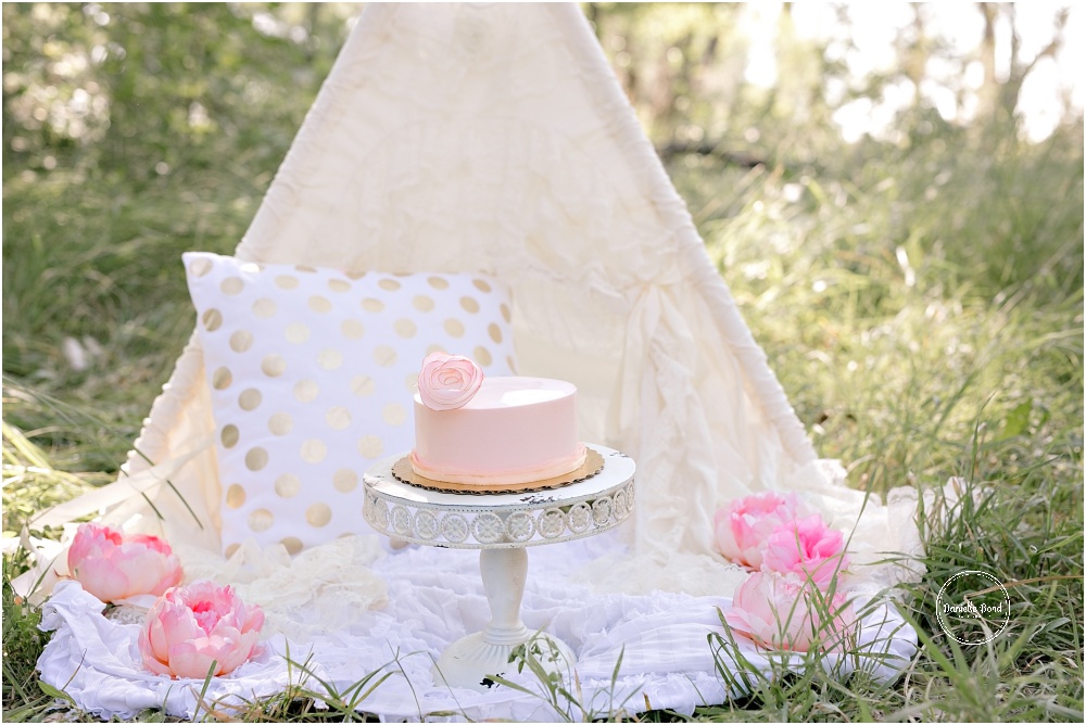 outdoor-pink-and-gold-cake-smash_0282